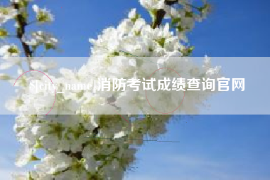 平凉消防考试成绩查询官网