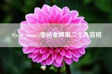 平凉奥运金牌第二个九宫格