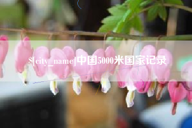 平凉中国5000米国家记录
