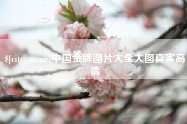 平凉中国金牌图片大全大图真实高清