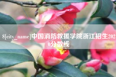 平凉中国消防救援学院浙江招生2020分数线