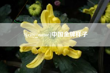 平凉中国金牌样子