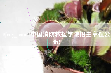 平凉中国消防救援学院招生章程公布!