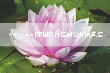 平凉中国执行信息公开网失信