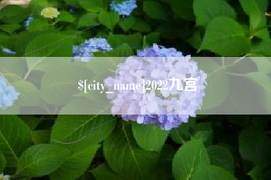 平凉2022九宫