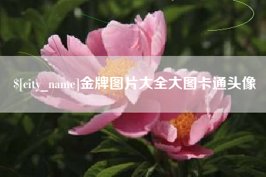 平凉金牌图片大全大图卡通头像