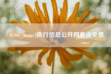平凉执行信息公开网查询免费