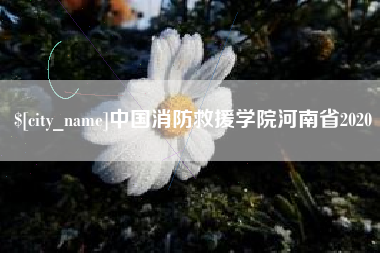 平凉中国消防救援学院河南省2020